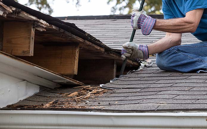 chapman neil working on mold damaged roof