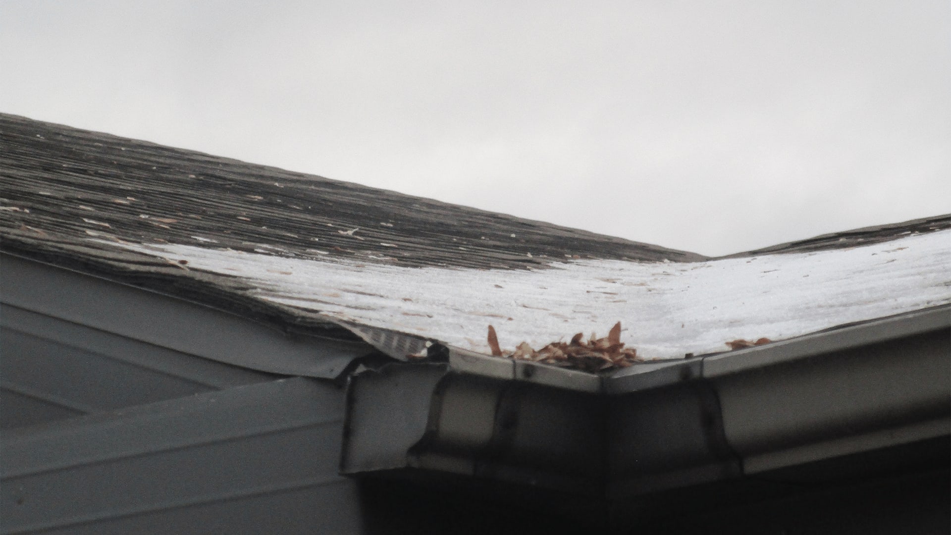 Preventing Ice Dams On Your Roof Chapman Neil Property Solutions