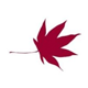Logo for "JOYCE & IRVING GOLDMAN FAMILY FOUNDATION INC"