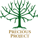 Logo for "PRECIOUS PROJECT INC"
