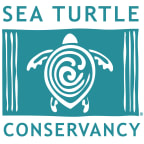 Logo for "Sea Turtle Conservancy"