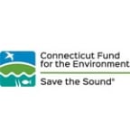 Logo for "SAVE THE SOUND"