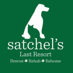 Logo for "Satchels Last Resort"