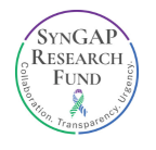Logo for "SynGAP Research Fund Incorporated"