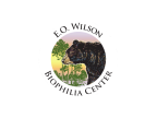 Logo for "NOKUSE EDUCATION INC"