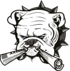 Logo for "Broward Bulldog Inc DBA Florida Bulldog"