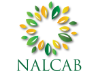 Logo for "NATIONAL ASSOCIATION FOR LATINO COMMUNITY ASSET BUILDERS"