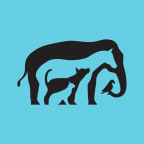 Logo for "MORRIS ANIMAL FOUNDATION"