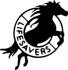 Logo for "LIFESAVERS INC"