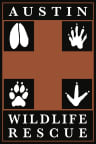 Logo for "Austin Wildlife Rescue"