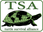 Logo for "THE TURTLE SURVIVAL ALLIANCE FOUNDATION"