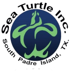 Logo for "SEA TURTLE INC"