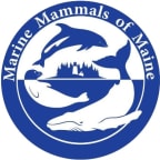 Logo for "Marine Mammals of Maine"