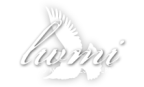 Logo for "LIVING WORD MINISTRIES INTL INC"