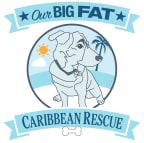 Logo for "Our Big Fat Caribbean Rescue Inc"