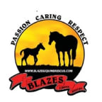 Logo for "BLAZE'S TRIBUTE EQUINE RESCUE INC"