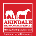 Logo for "AKINDALE REHABILITATION & LAND CONSERVATION FUND"