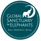 Logo for "GLOBAL SANCTUARY FOR ELEPHANTS"
