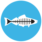 Logo for "HEAL THE BAY"