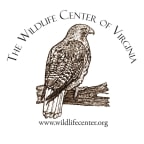 Logo for "THE WILDLIFE CENTER OF VIRGINIA"