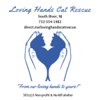 Logo for "Loving Hands Cat Rescue Inc"