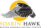 Logo for "Soarin Hawk Raptor Rehabilitation Inc"