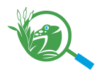 Logo for "ODC NETWORK"