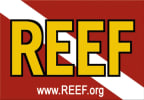 Logo for "REEF ENVIRONMENTAL EDUCATION FOUNDATION"