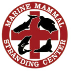 Logo for "Marine Mammal Stranding Center"