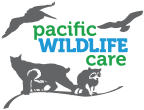 Logo for "Pacific Wildlife Care"