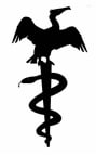 Logo for "NEW ENGLAND WILDLIFE CENTER INC"