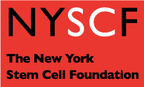 Logo for "NEW YORK STEM CELL FOUNDATION INC"