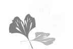 Logo for "CHILDREN OF INCARCERATED PARENTS PARTNERSHIP INC"