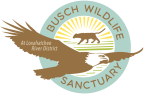 Logo for "THE BUSCH WILDLIFE SANCTUARY INC"