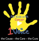 Logo for "1VOICE FOUNDATION INC"