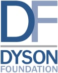 Logo for "THE DYSON FOUNDATION"