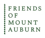 Logo for "FRIENDS OF MOUNT AUBURN CEMETERY"