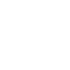 Logo for "MASSACHUSETTS WONDERFUND INC"