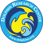 Logo for "DOLPHIN RESEARCH CENTER INC"