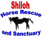 Logo for "SHILOH CHARITABLE TRUST"