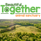 Logo for "BEAUTIFUL TOGETHER"