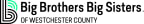 Logo for "BIG BROTHERS BIG SISTERS OF WESTCHESTER COUNTY INC"