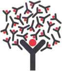 Logo for "SIPES ORCHARD HOME"