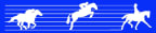 Logo for "MIDATLANTIC HORSE RESCUE INC C/O BEVERLY STRAUSS"