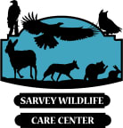 Logo for "SARVEY WILDLIFE CARE CENTER"