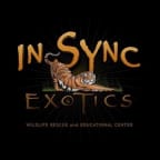 Logo for "INSYNC EXOTIC INC"