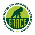 Logo for "GORILLA REHABILITATION CONSERVATION EDUCATION (GRACE) CENTER INC"