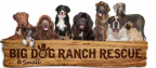 Logo for "BIG DOG RANCH RESCUE INC"