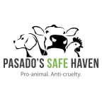 Logo for "PASADO'S SAFE HAVEN"