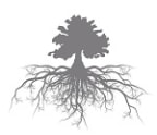 Logo for "TREZEVANT MANOR FOUNDATION"